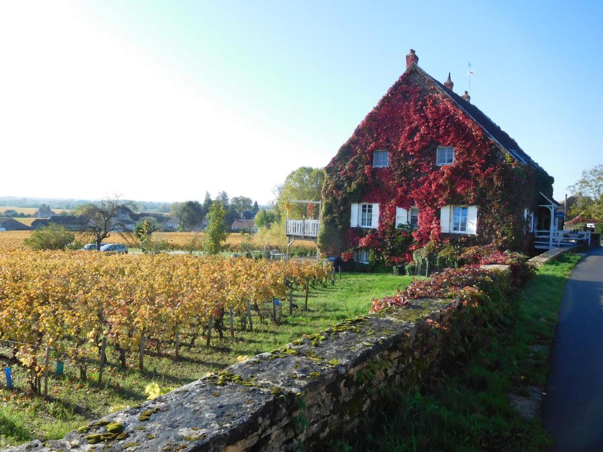 La Passerelle Des Corton B&B Aloxe-Corton Εξωτερικό φωτογραφία